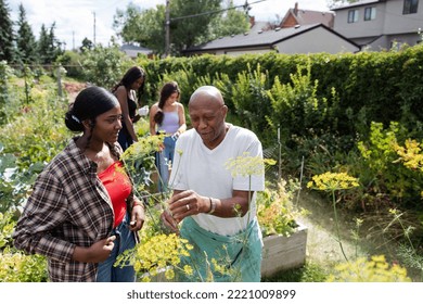 Senior man talking to student in community garden Stock-foto