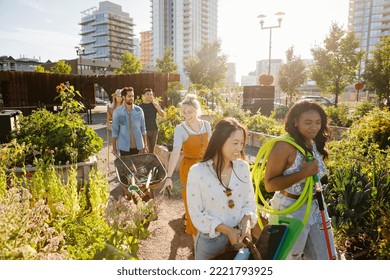 Young adult friends walking with equipment in sunny, urban community garden Stock-foto